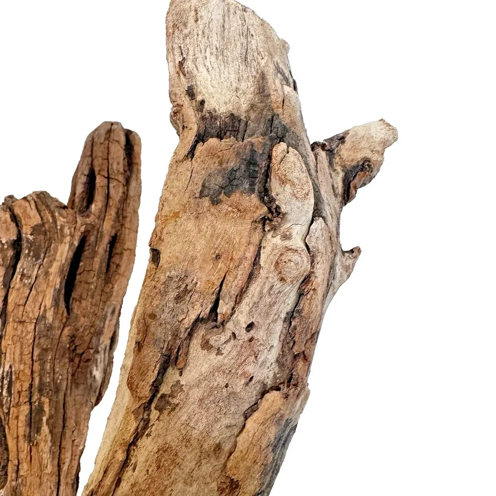 Set of 2 Cali. Coast Wavy Natural Driftwood Beach Burlwood 1.10 Lbs Terrarium
